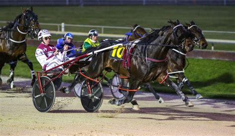 harness racing covert 19 nz 2022.